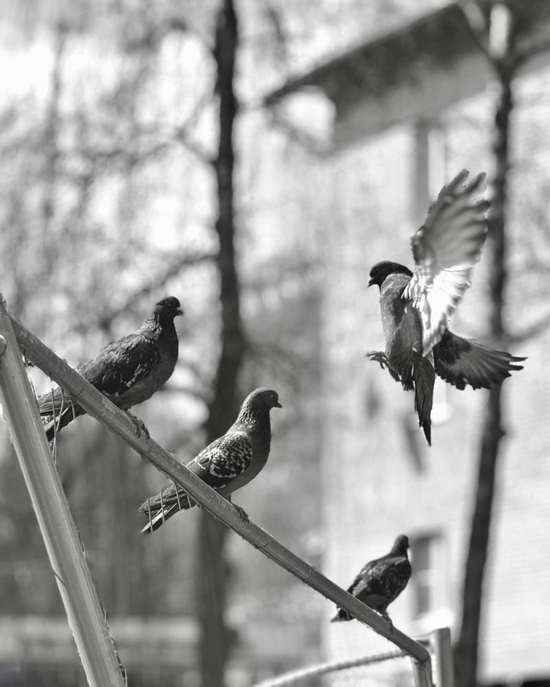 Photograph by Анастасия Арбузова