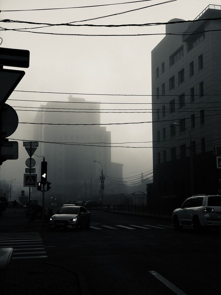 Photograph by Yanina Zvezdina