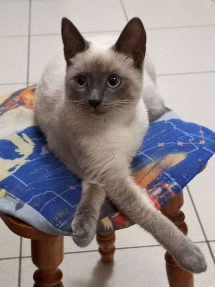 Photograph by Надежда