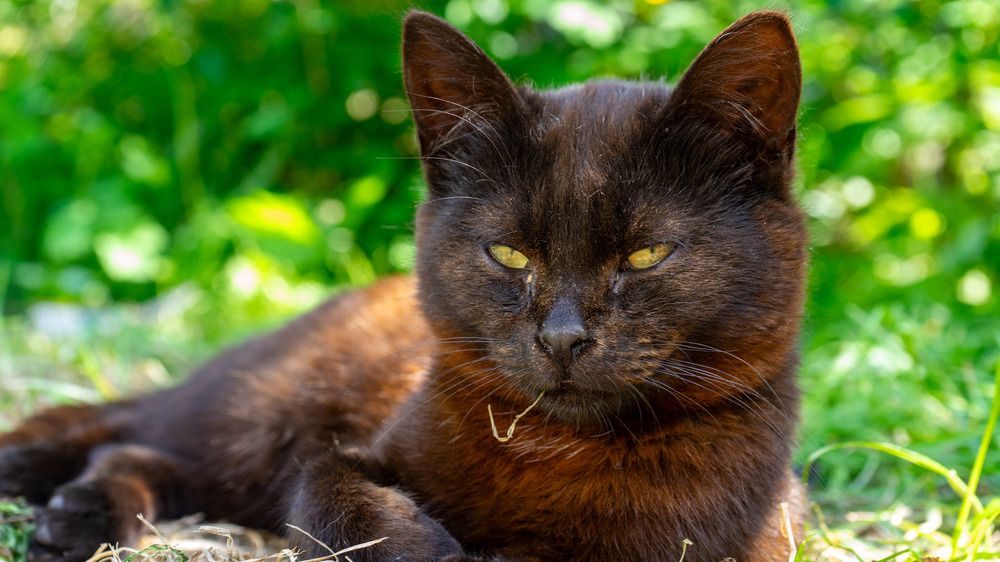 Фотография автора Оликов Владимир