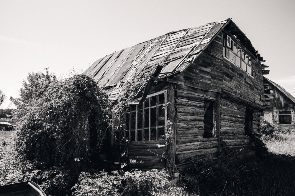 Photograph by Юрий Жданов