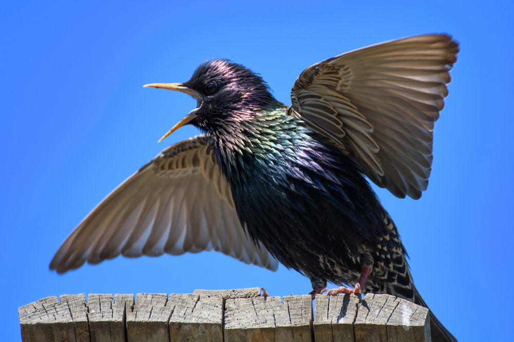 Photograph by Юрий Жданов