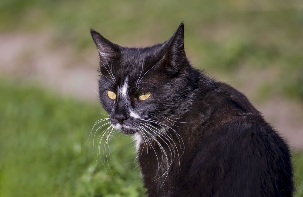 Photograph by Сергей