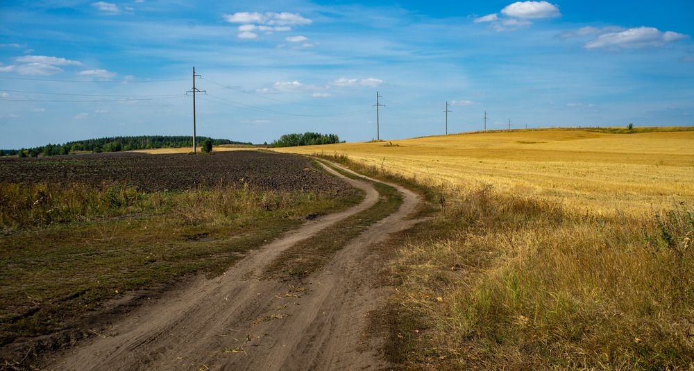 Photograph by Оликов Владимир