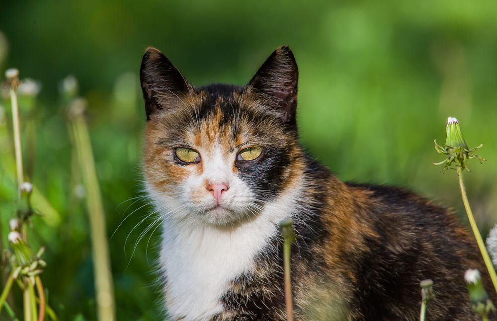 Photograph by Сергей