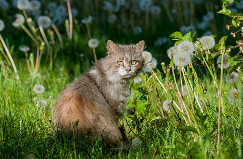 Photograph by Сергей