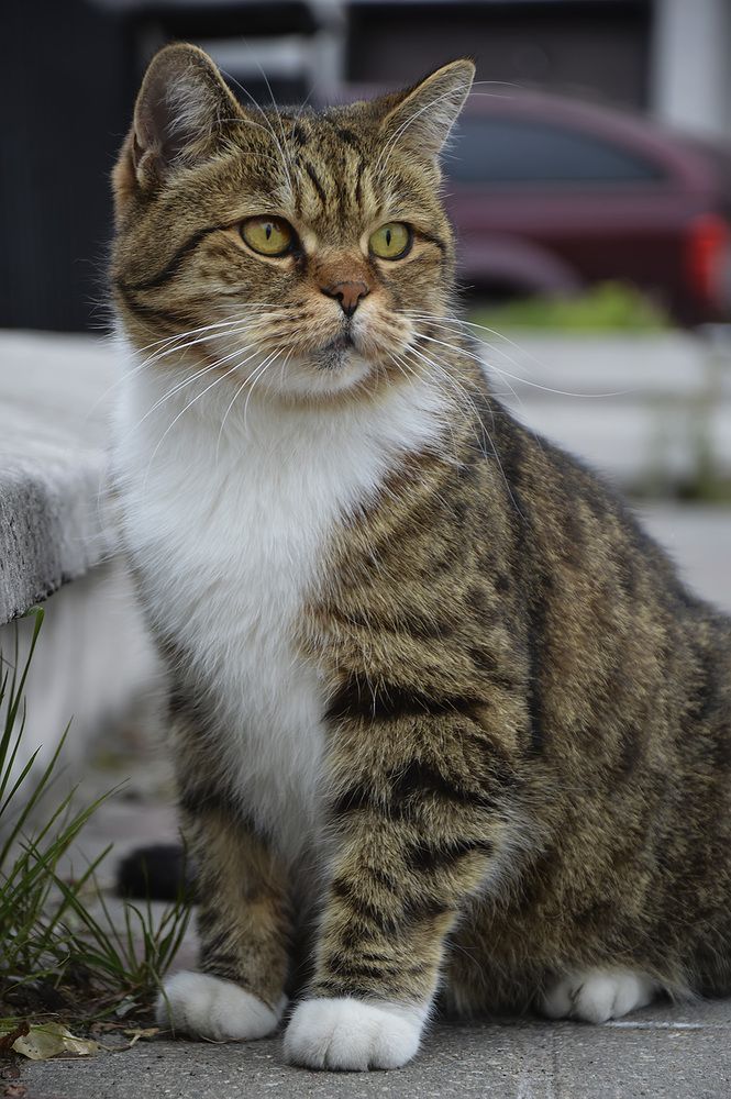 Photograph by Алексей Парамонов