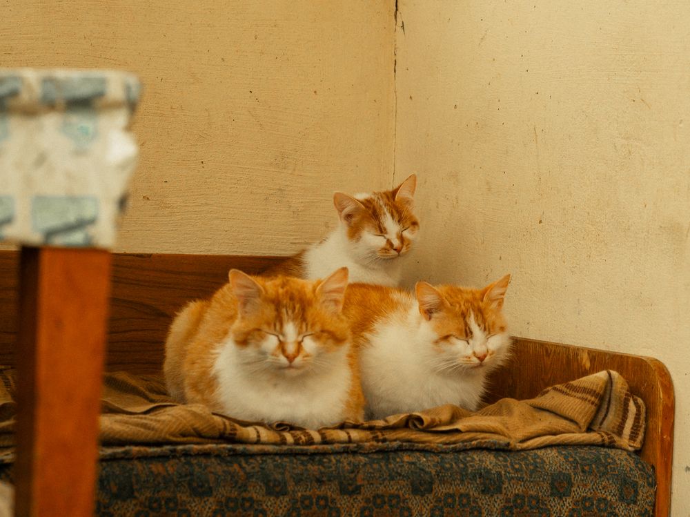 Photograph by Людмила