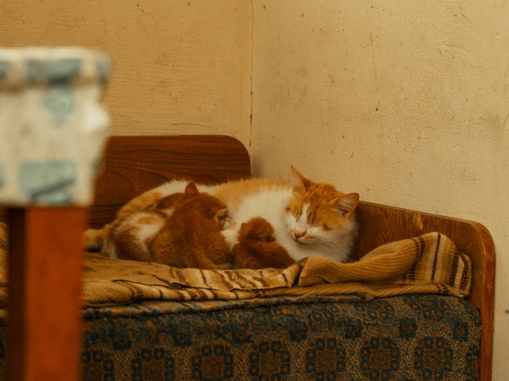 Photograph by Людмила