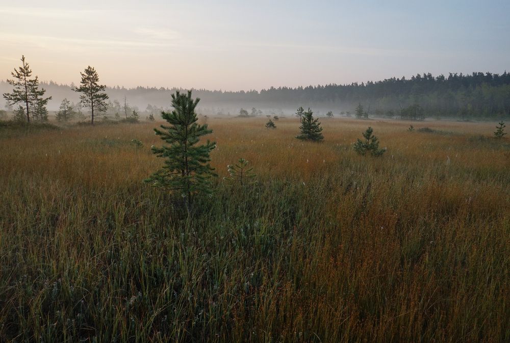Photograph by Лена Максимкина
