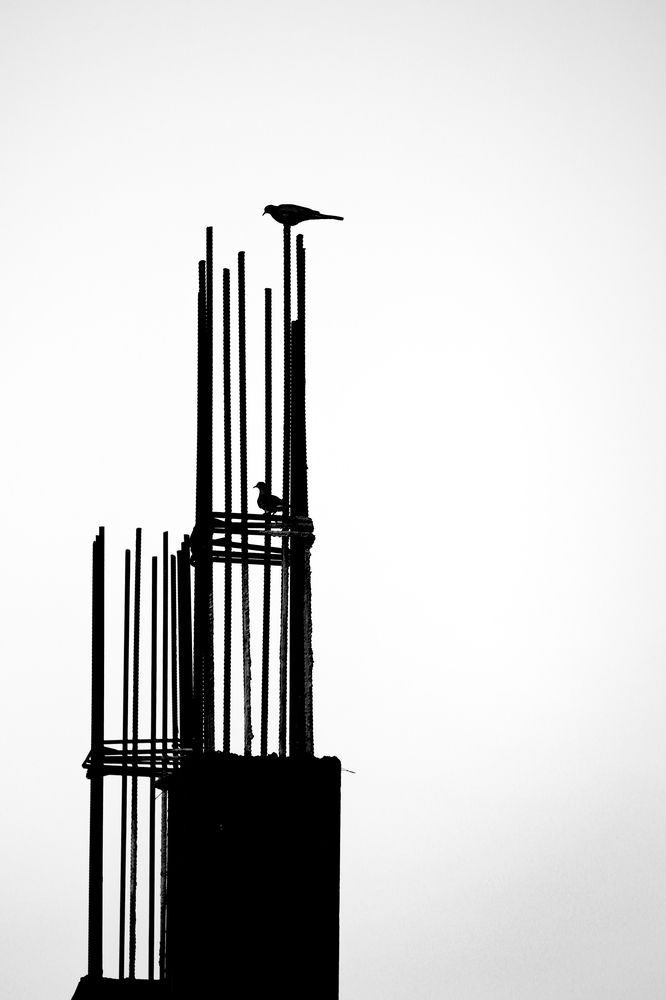 Photograph by Amir Negaresh