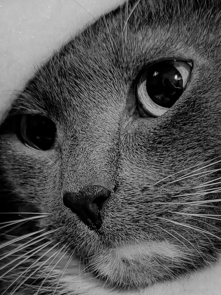 Photograph by Светлана Таркан