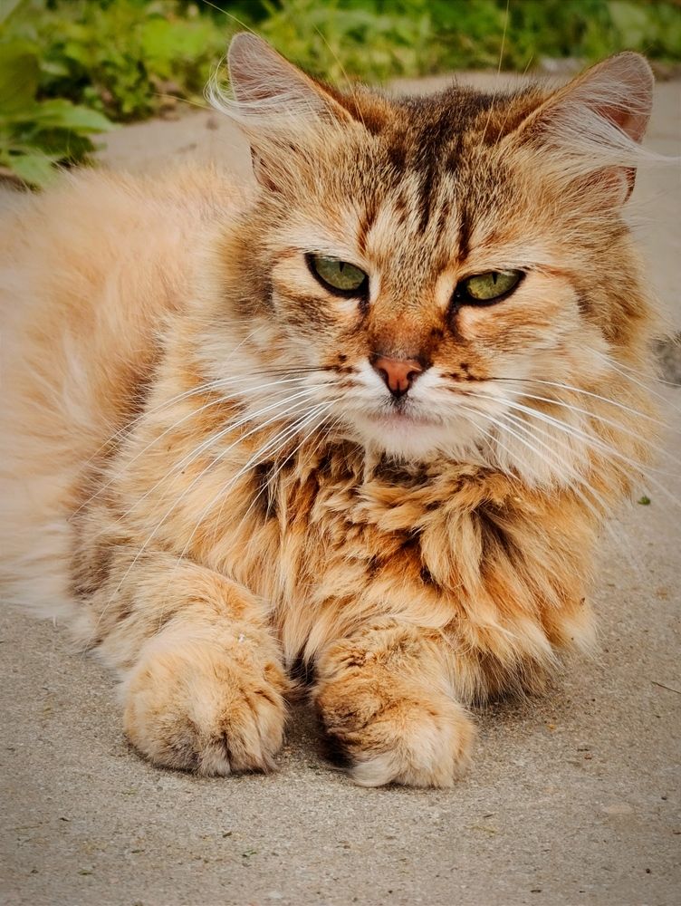 Photograph by Светлана Таркан