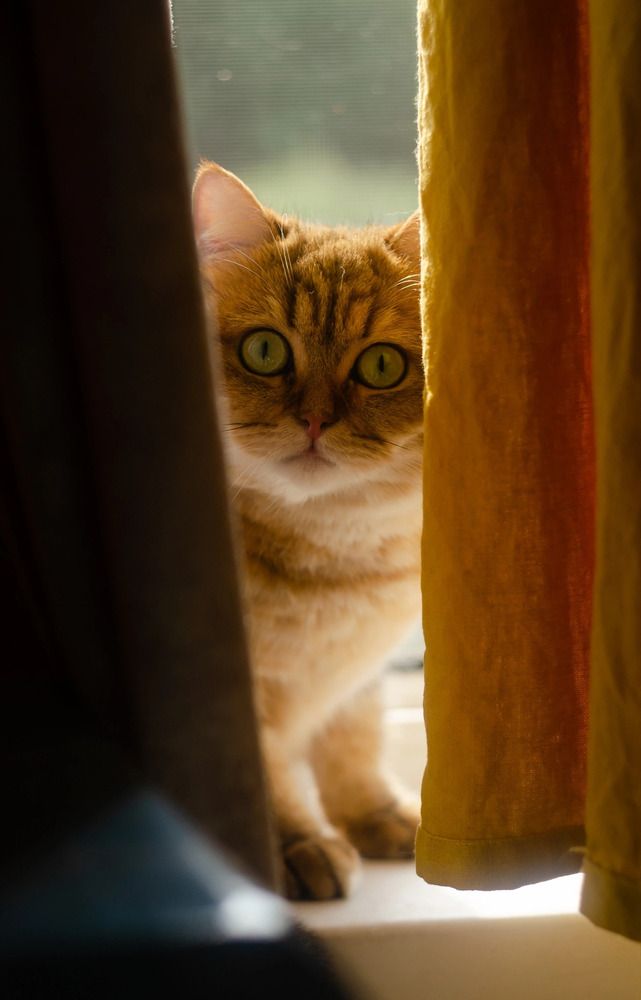 Photograph by Ляйсан Мубаракова