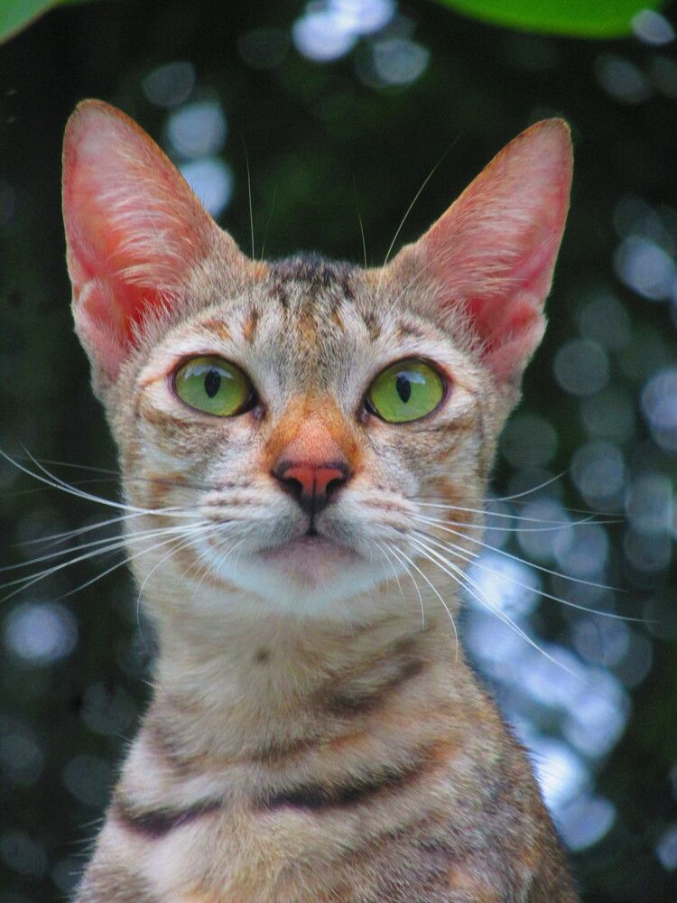 Photograph by Khairul Zamzami