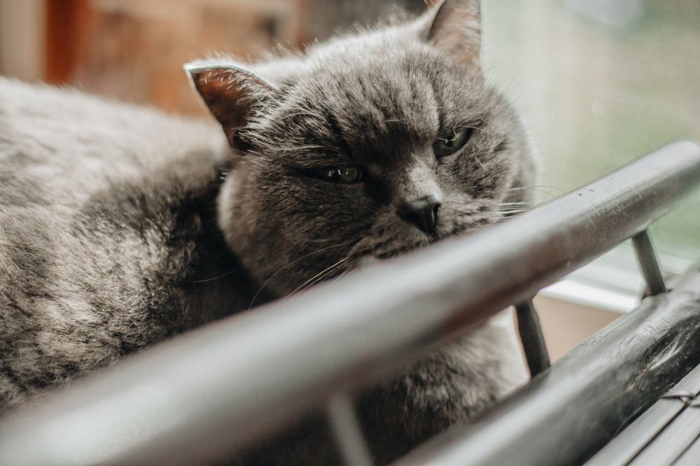 Photograph by Софья Титова