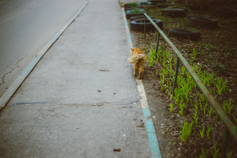 Photograph by Софья Титова