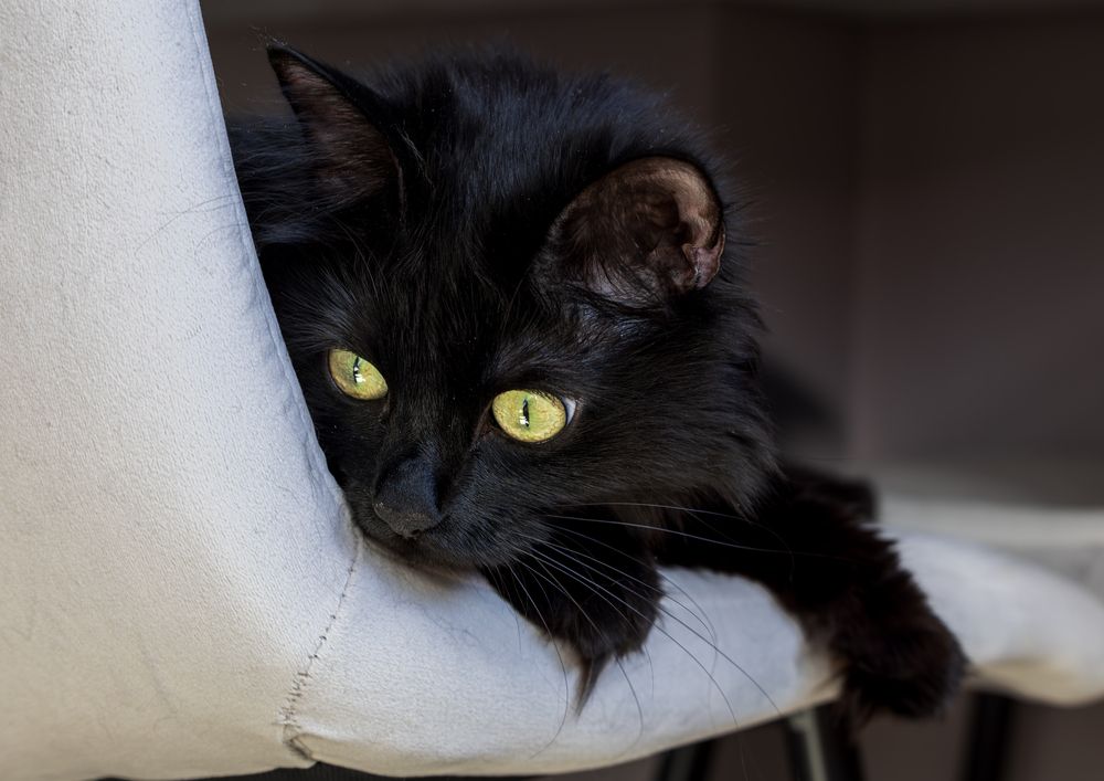 Photograph by Анна Бокова