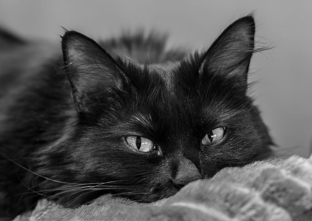 Photograph by Анна Бокова