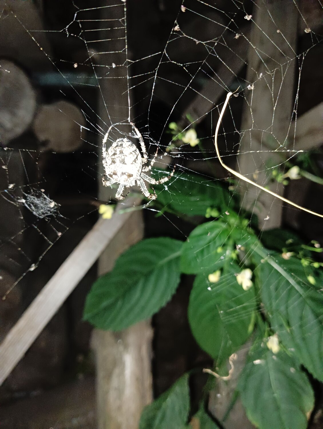 Photo #12223881