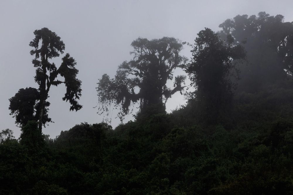 Фотография автора Варвара Дронова