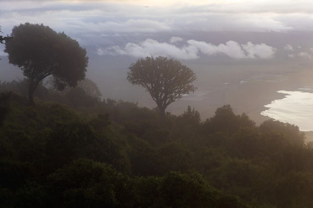 Фотография автора Варвара Дронова