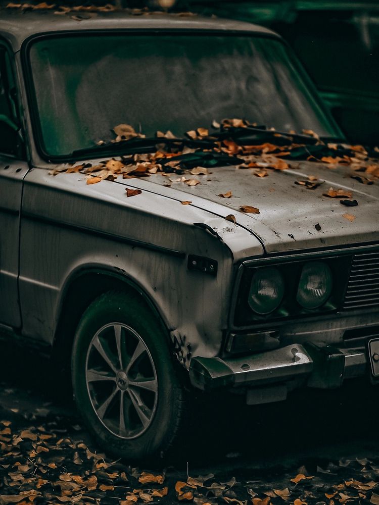 Фотография автора Елена Чиликина