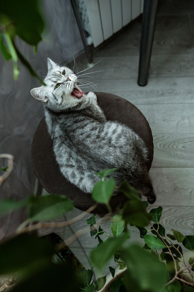 Photograph by Наталья Золотарева