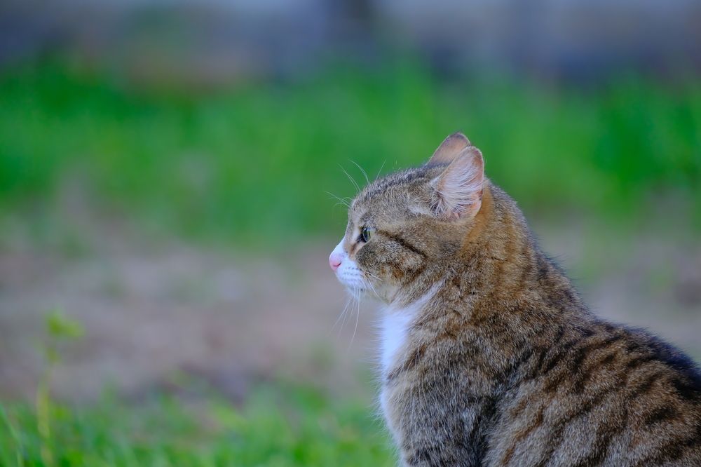 Photograph by Надежда Кангина