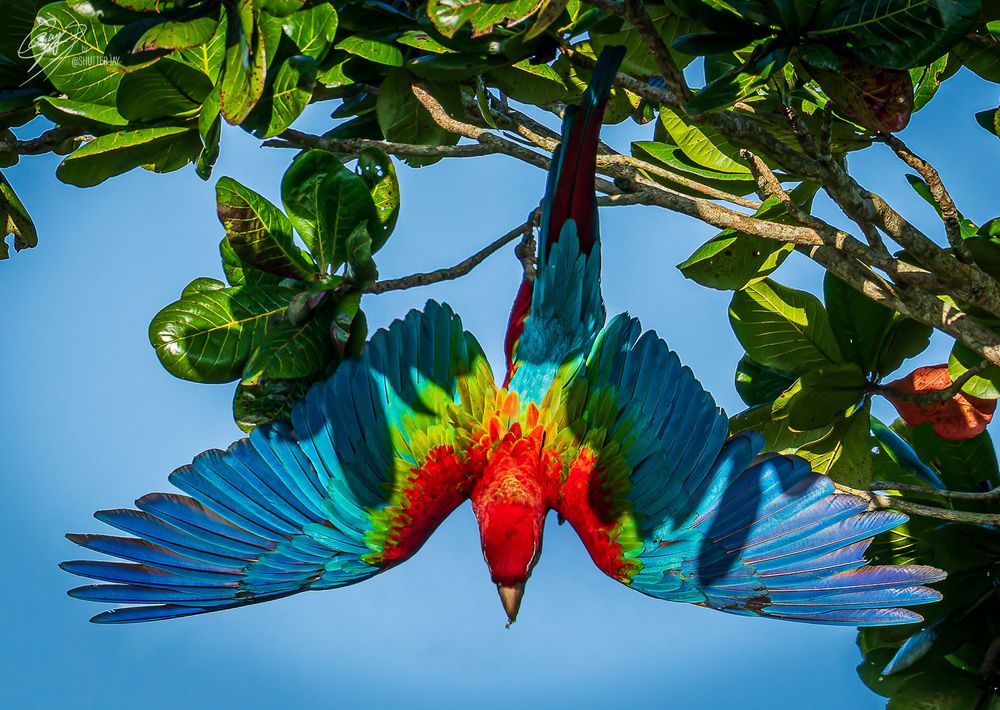 Фотография автора Ajay Rampersad