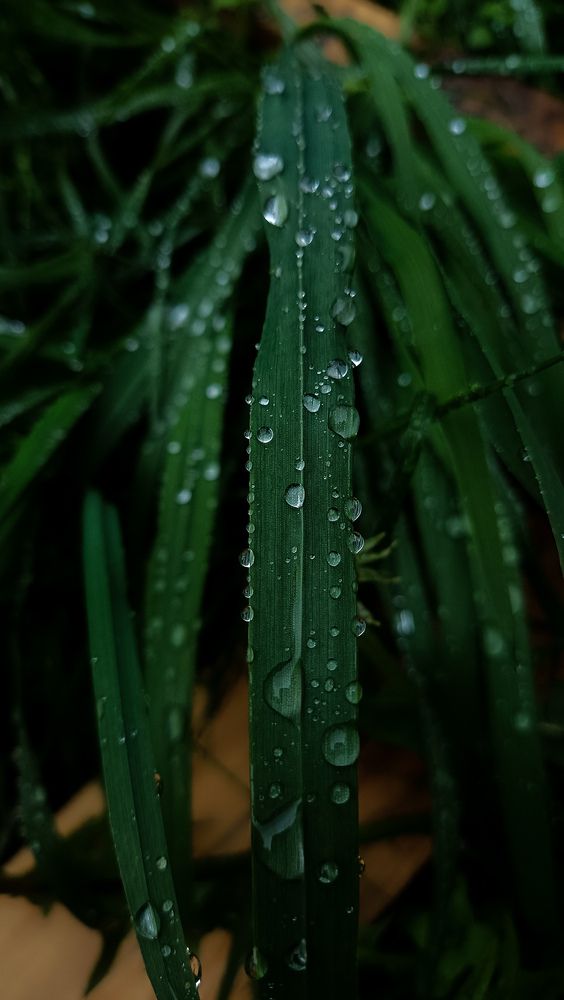 Photograph by Анастасия Яхимович