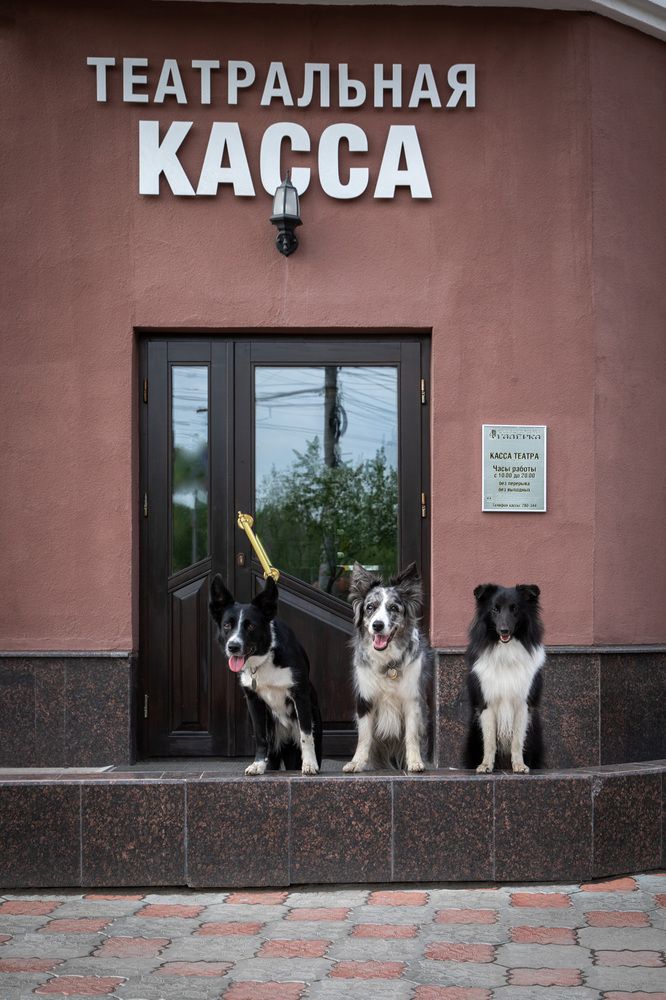 Photograph by Татьяна Арендаренко