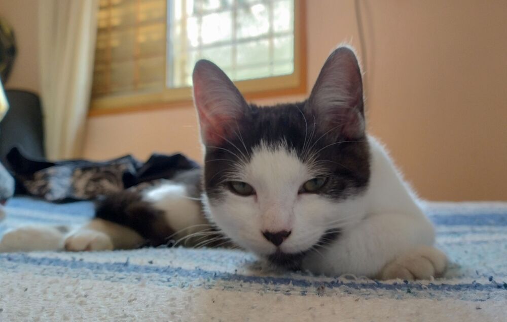 Фотография автора Jorge Martinez