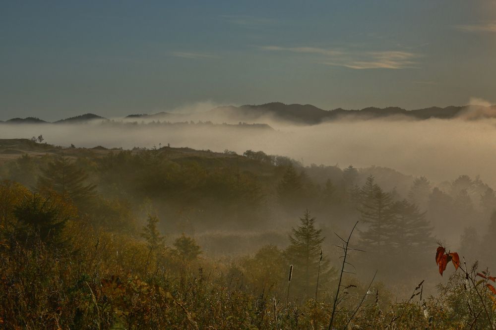 Photograph by Олег Корешонков