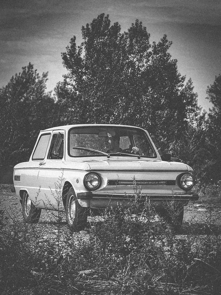 Фотография автора Evgeniy Shabanov