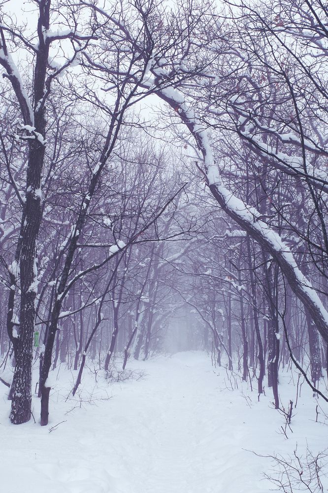 Photograph by Алла Никушкина