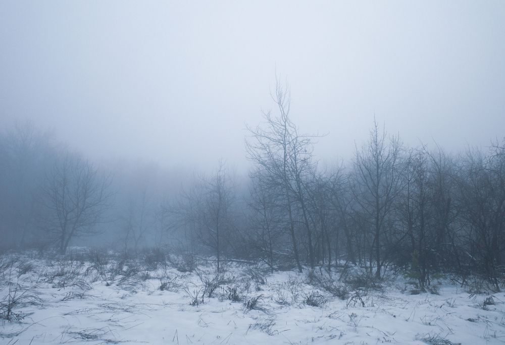 Photograph by Алла Никушкина