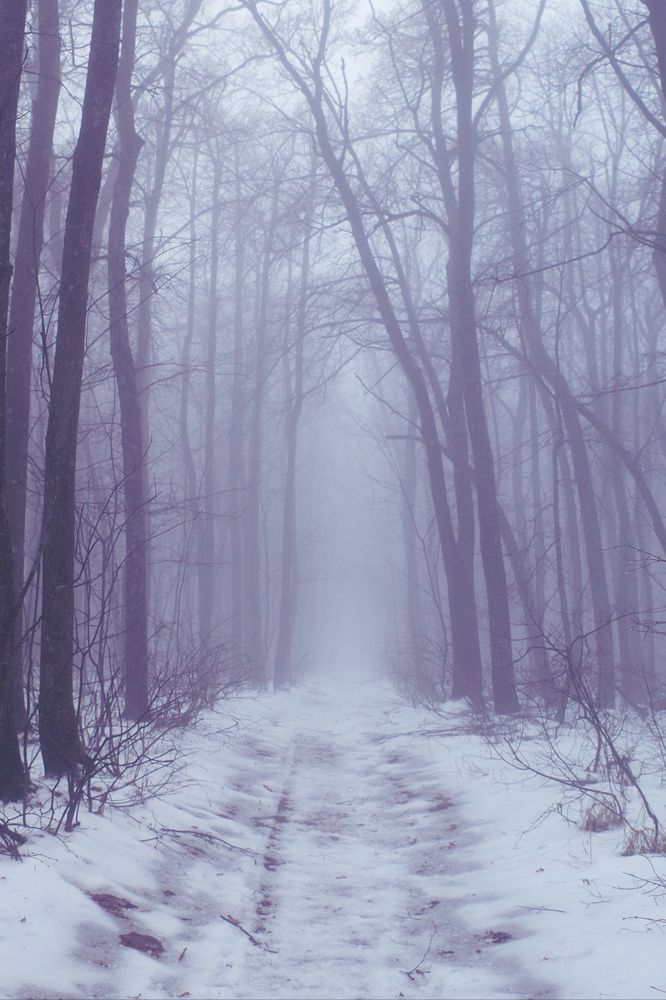 Photograph by Алла Никушкина