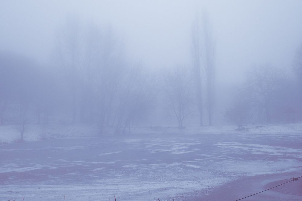 Photograph by Алла Никушкина