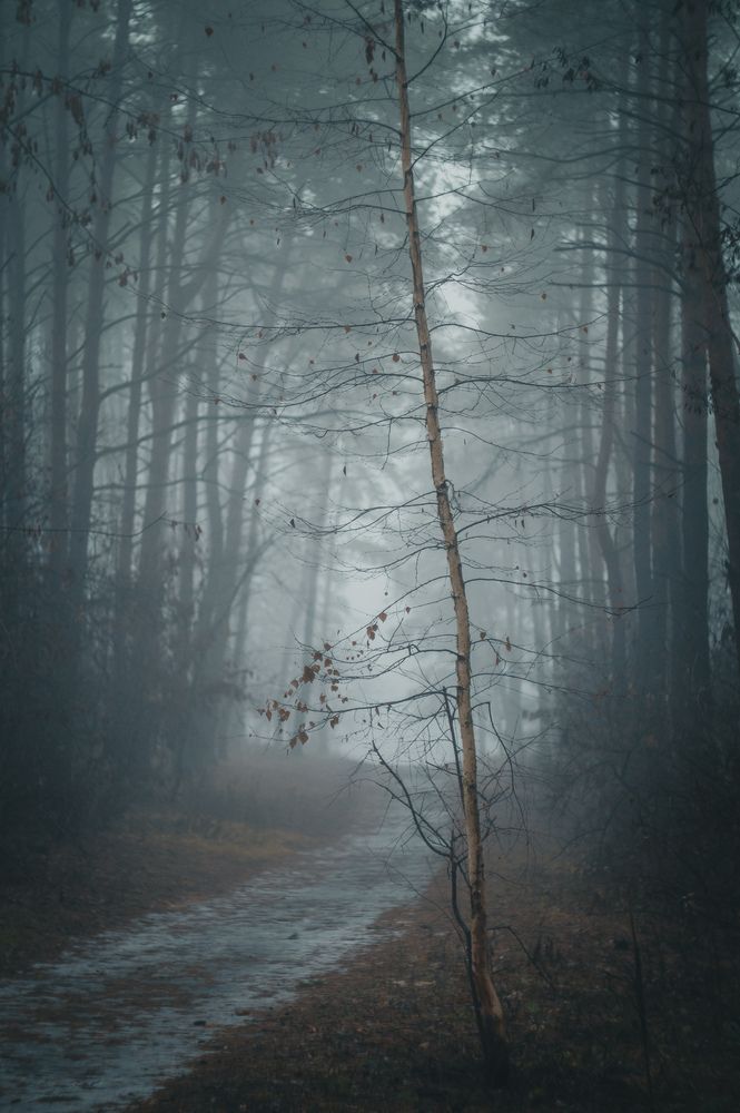 Photograph by Алексей Юдин