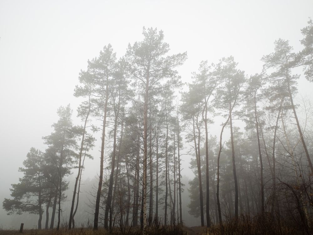 Photograph by Алексей Юдин