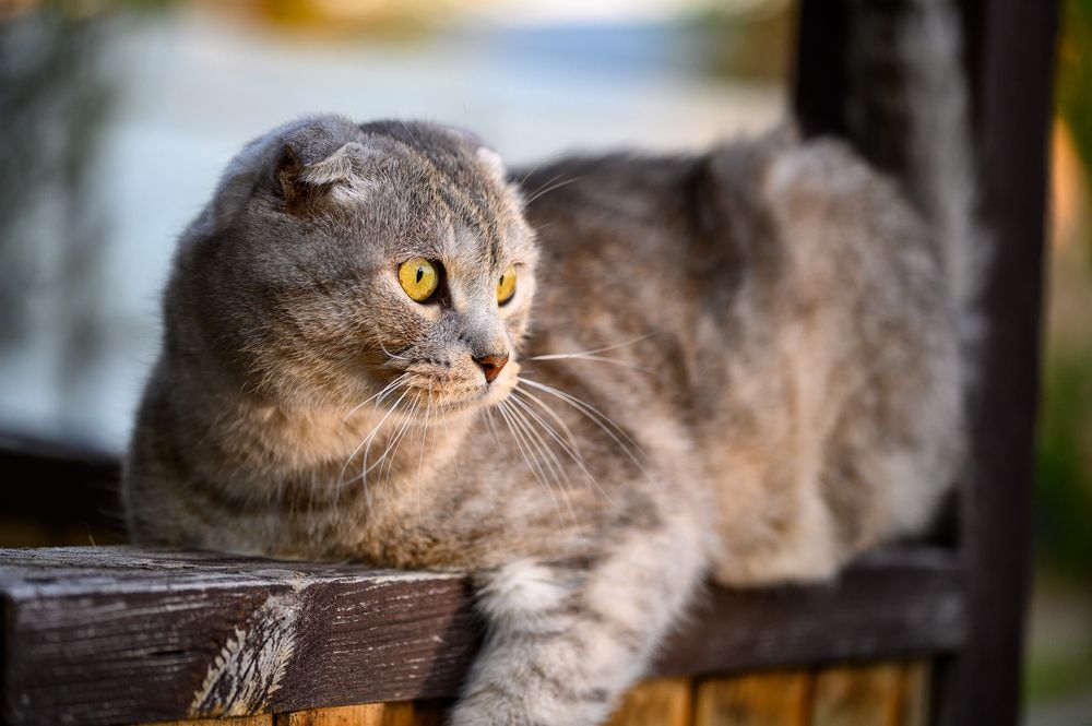 Photograph by Andrey Nuzhdin