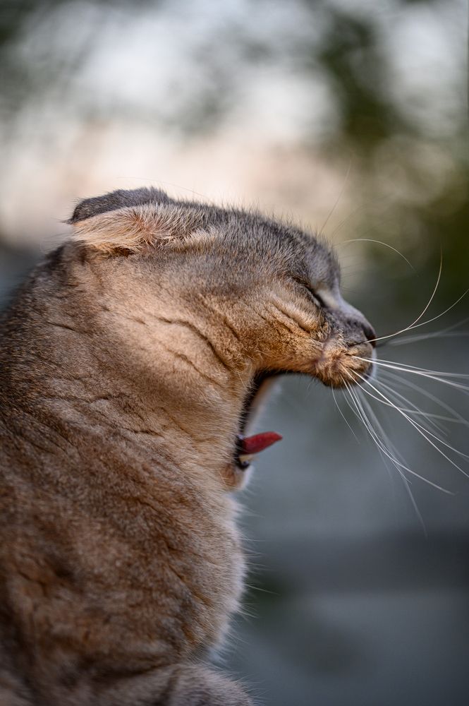 Photograph by Andrey Nuzhdin