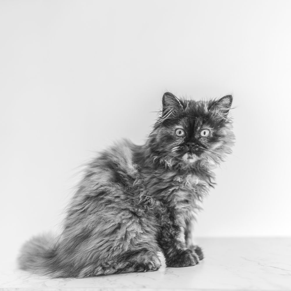 Photograph by Armando López-Guerrero