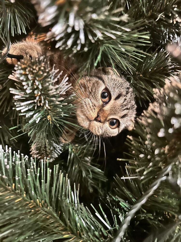 Photograph by Светлана Лисеева
