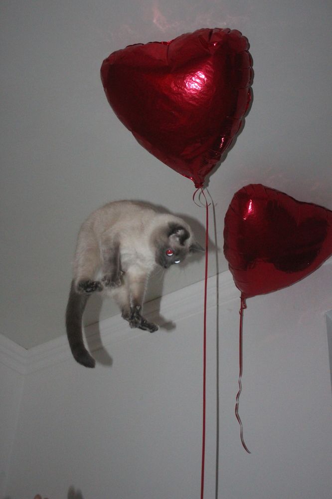 Photograph by Никита Прохоренко