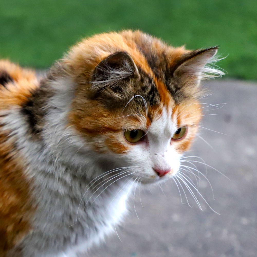 Photograph by Bhanupriya Marke