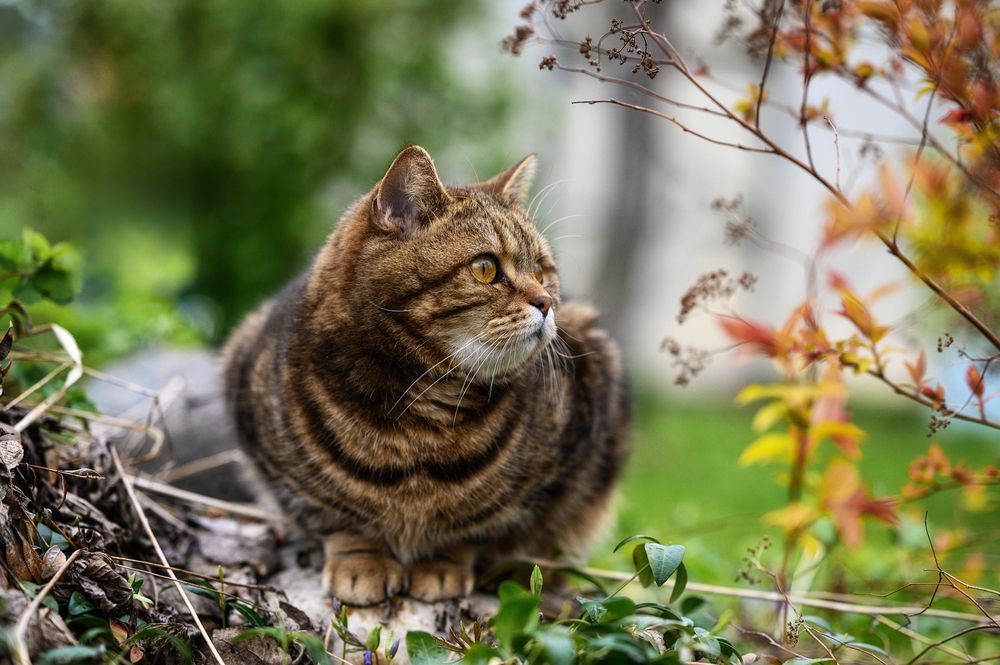 Photograph by Andrey Nuzhdin