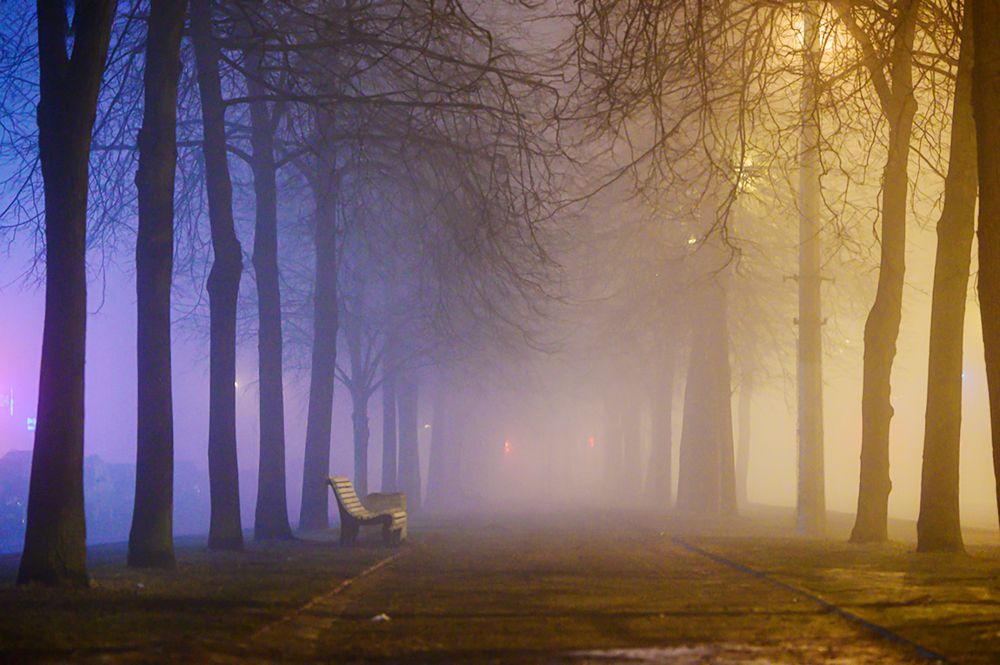 Photograph by Мария Новоселецкая