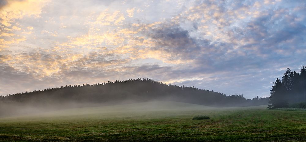 Photograph by Мария Новоселецкая